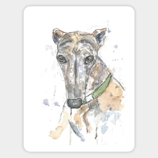 Brindle greyhound portrait Sticker